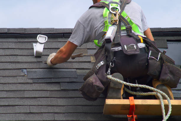 Best Residential Roofing Contractor  in Burlington, ND